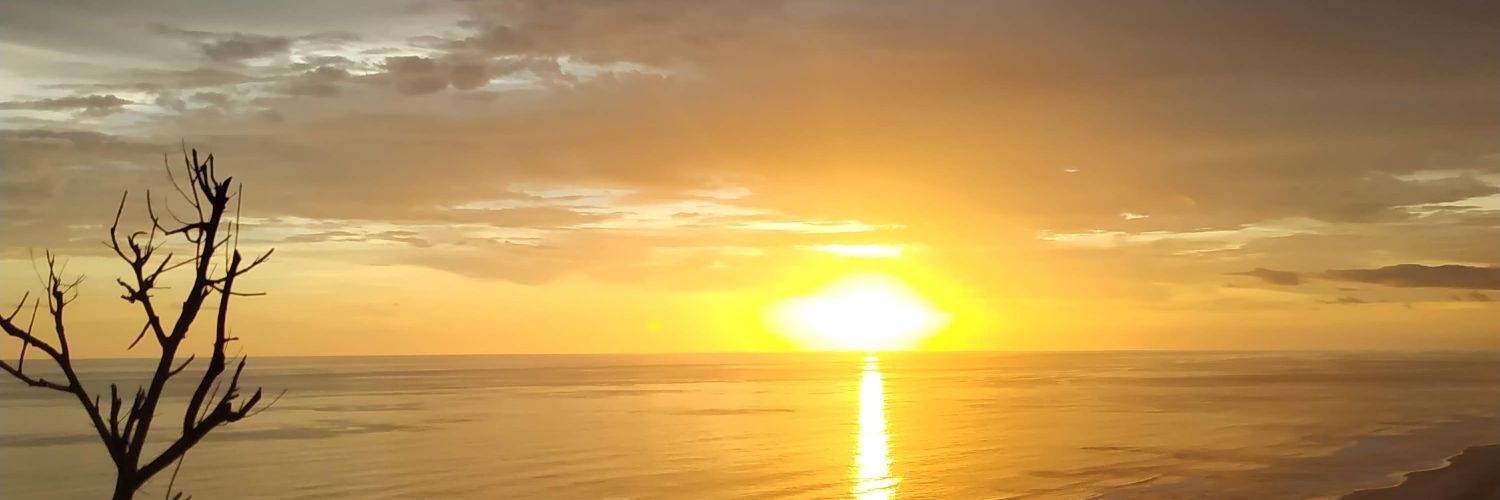 sekarasmoro's profile banner image