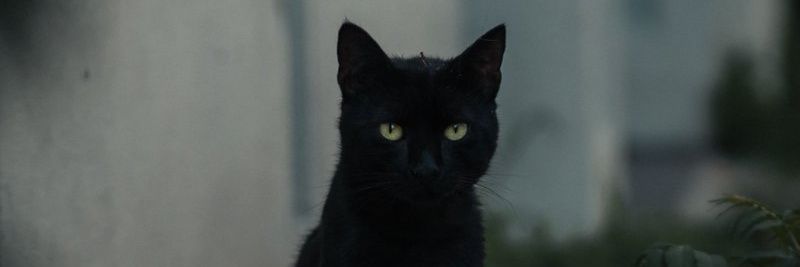 Freshbima's profile banner image