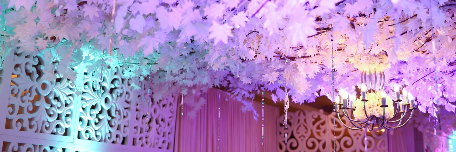 tittifitri's profile banner image