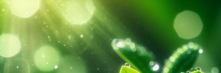 Chechelix's profile banner image