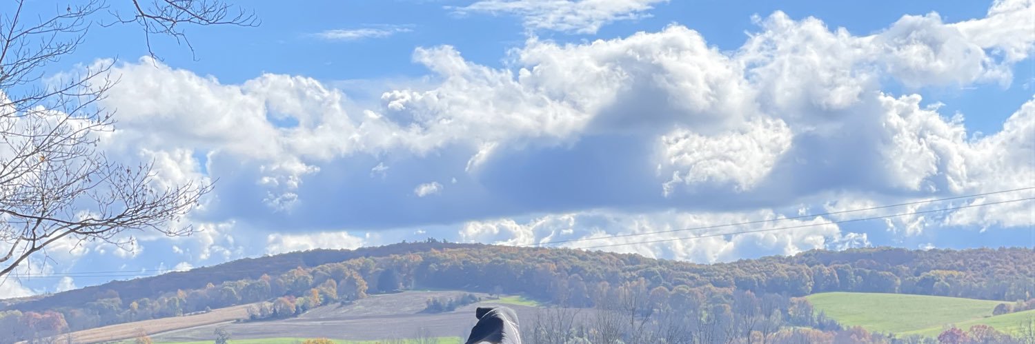 audioHoffman's profile banner image