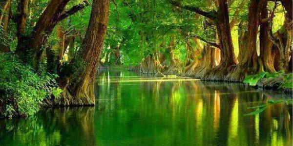 JAMEIQUE's profile banner image