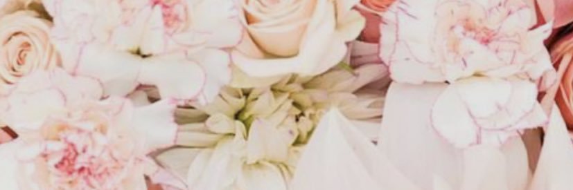 hjessome's profile banner image