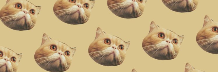 mnkkyo's profile banner image