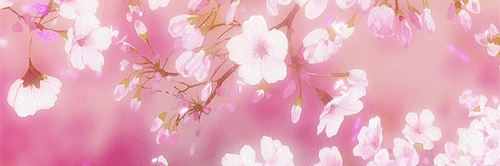 elayneleong's profile banner image