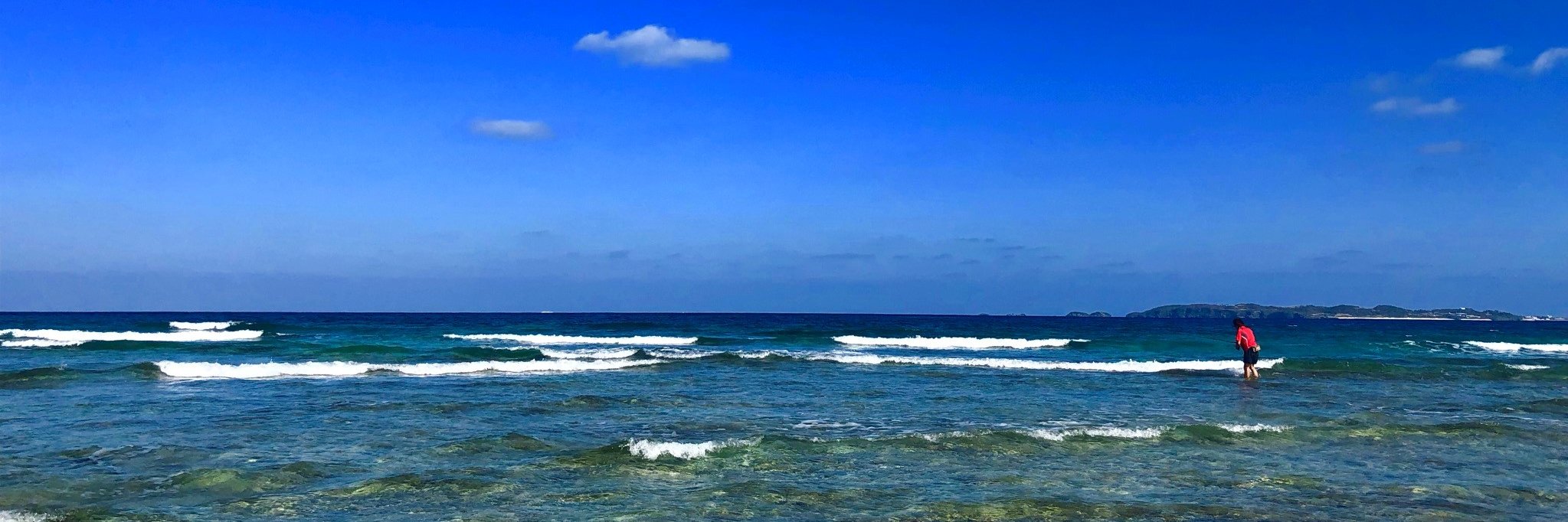 釣りビジョン banner