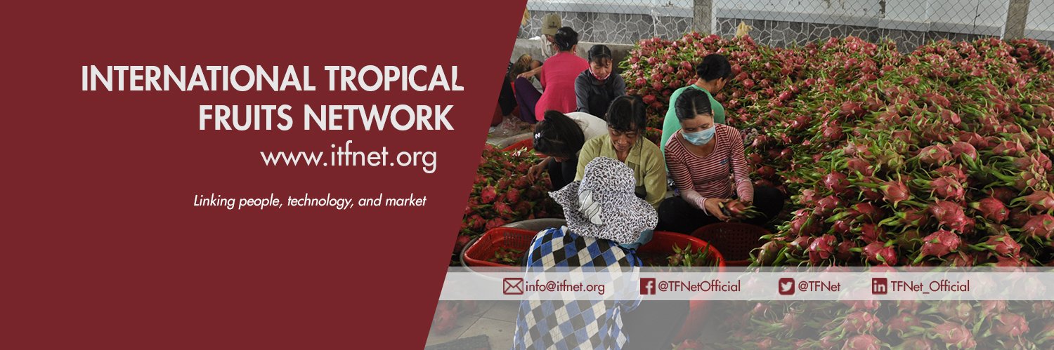 TFNet's profile banner image