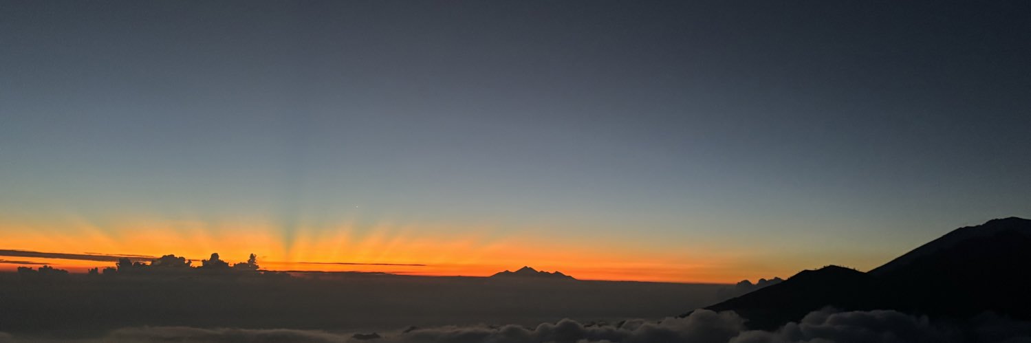 ☆ 𝑯𝒐𝒍𝒍𝒚 ♏️ banner