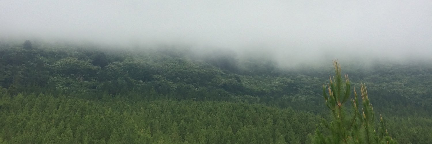 thomaschrismadi's profile banner image