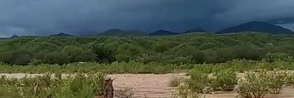 mikefontes Profile Banner