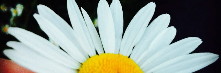 JojoSalo's profile banner image