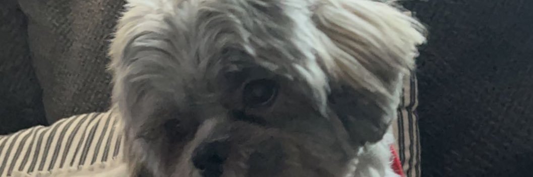 Queen_qvv's profile banner image