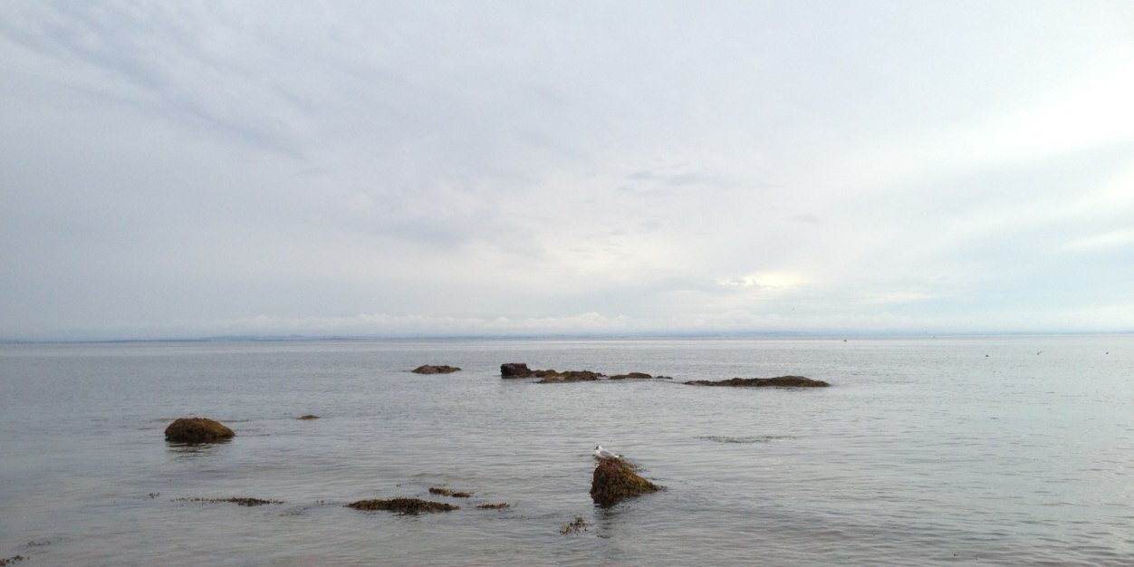 Nicholas Humfrey banner