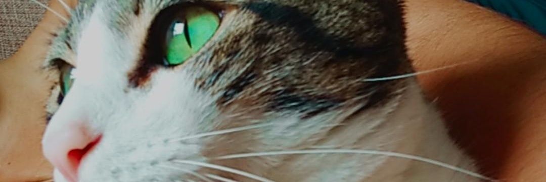 AnnaMattosP's profile banner image