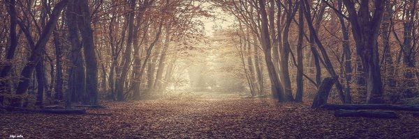 JankaHvs Profile Banner