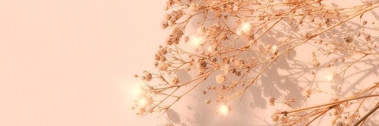 cristiedust's profile banner image