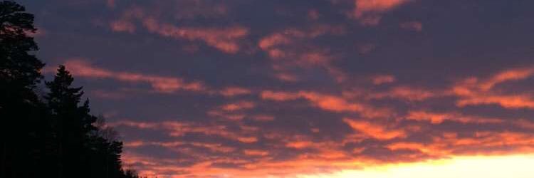 idasahlgren's profile banner image