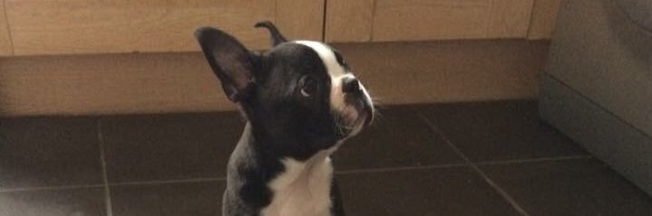 kevmcdougle's profile banner image