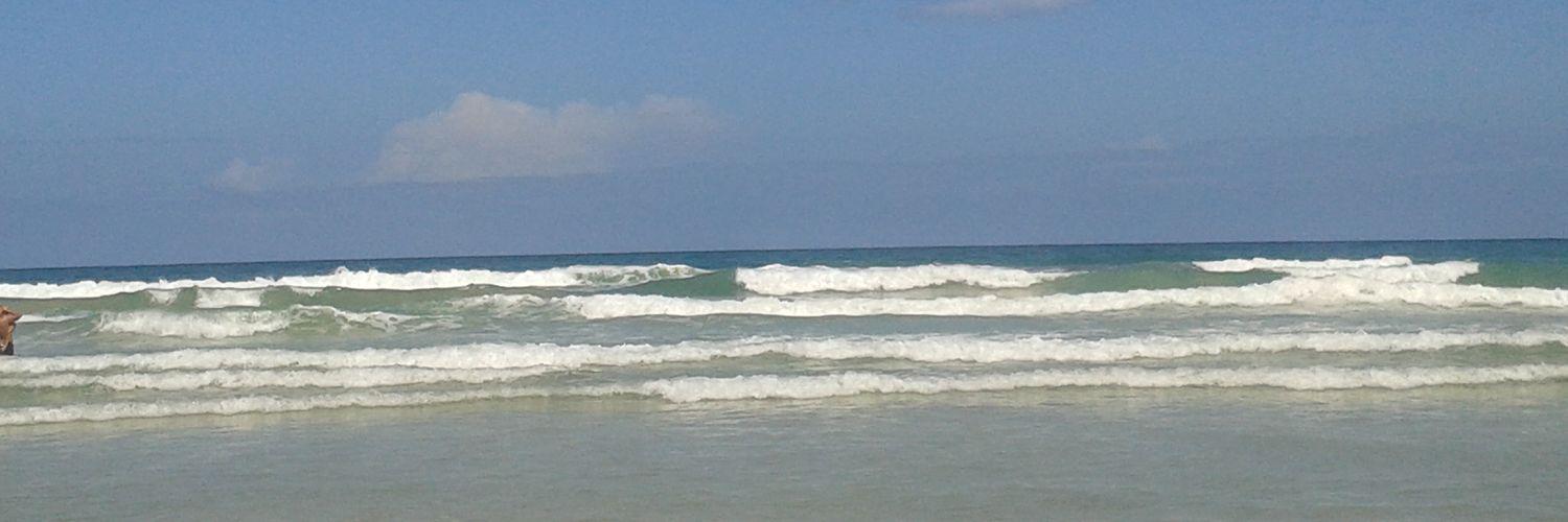 brendaysabel's profile banner image