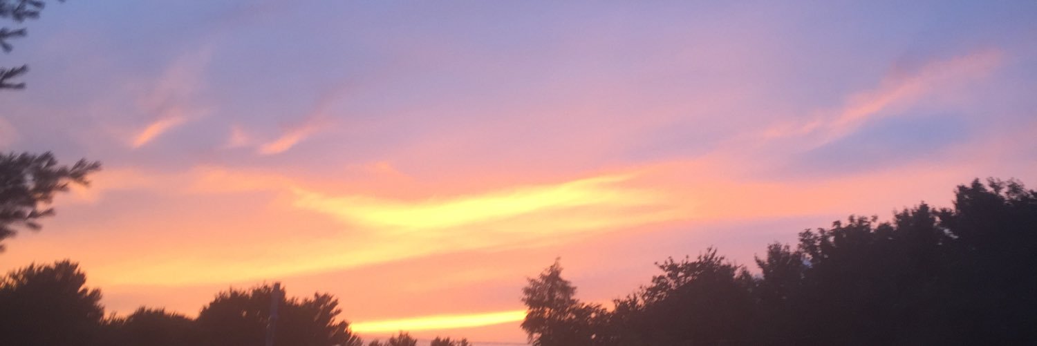 PaigeTirrell's profile banner image