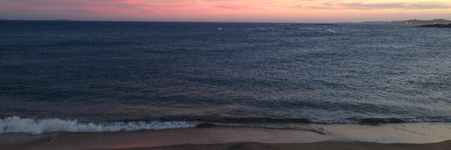 paiol do floss 🐉 banner