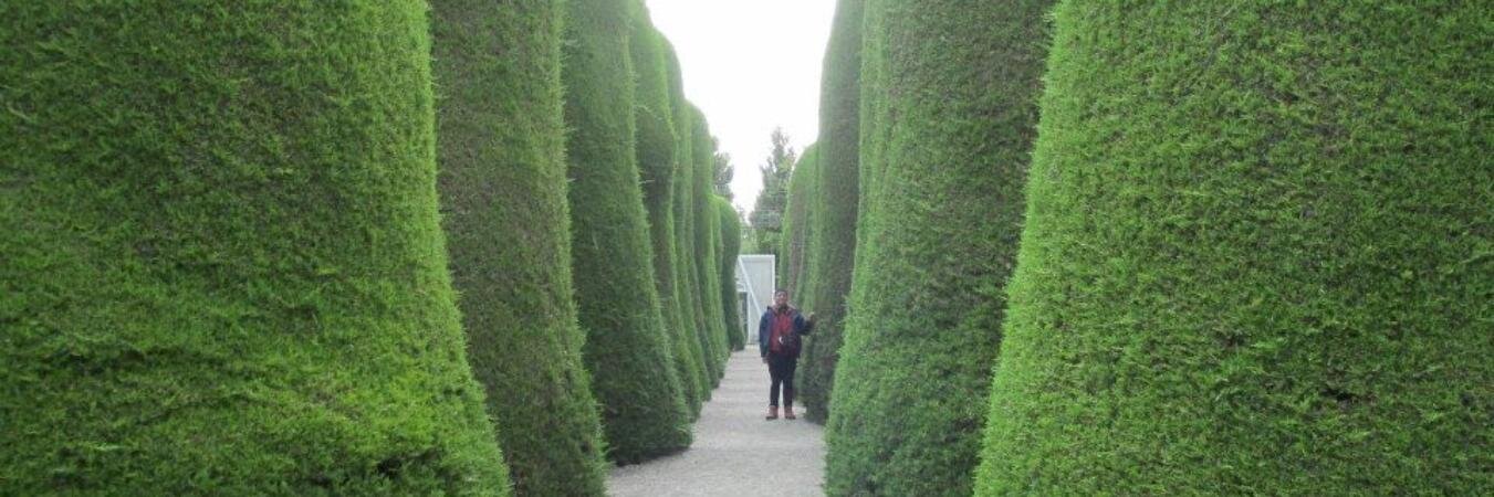 Matías ToroBravo banner