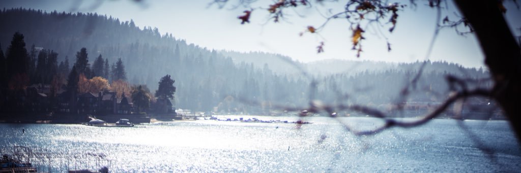 Matthias Hoene banner