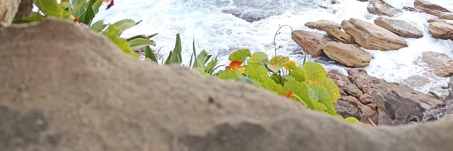 Daababaa's profile banner image