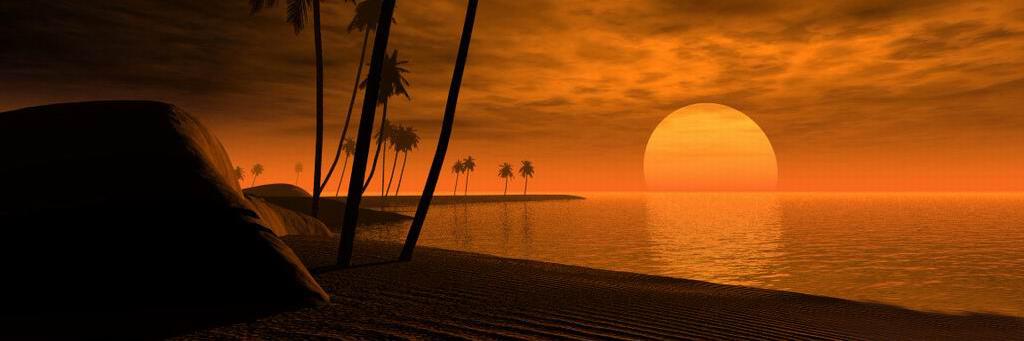 John Disque banner