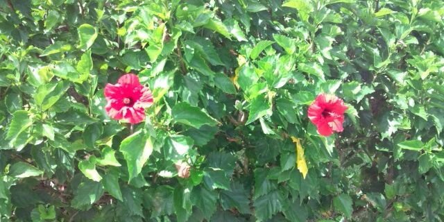 FKB69's profile banner image