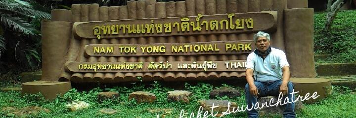 thaiworkers's profile banner image