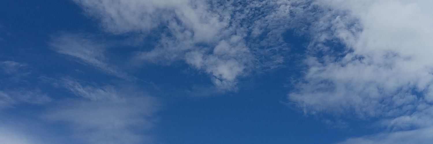 ✨Anys Sáenz banner