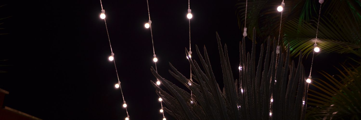 tchucolicia's profile banner image