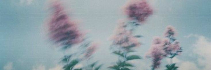 milenaarri's profile banner image