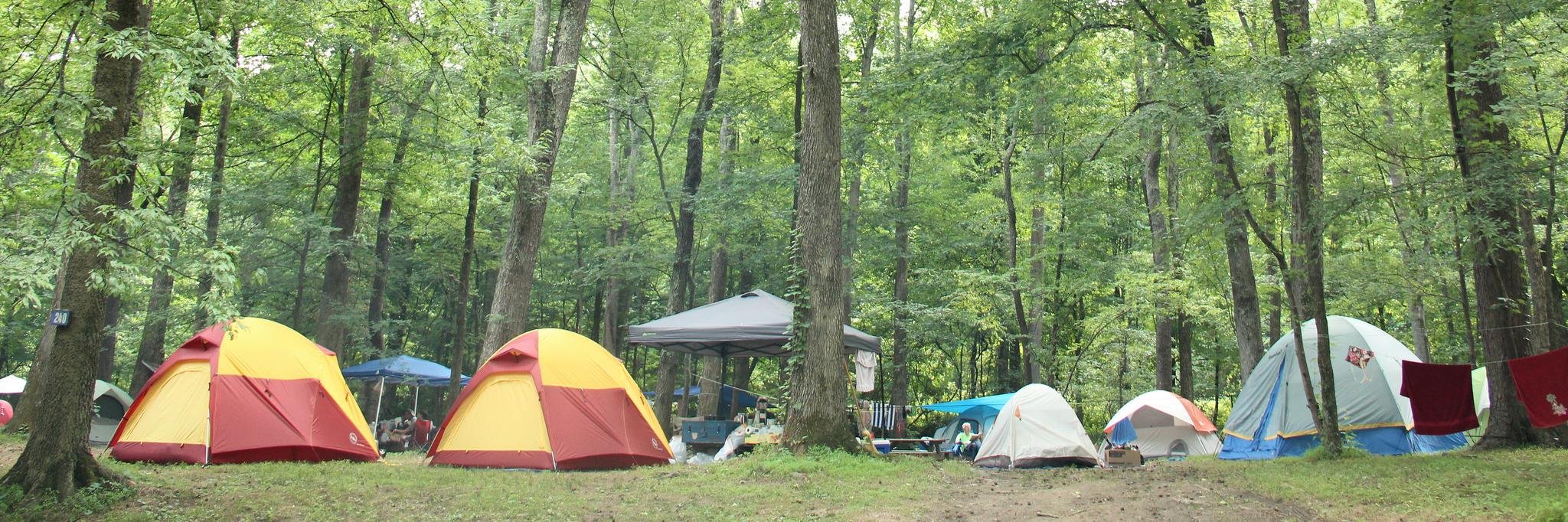 Wild Goose Festival banner