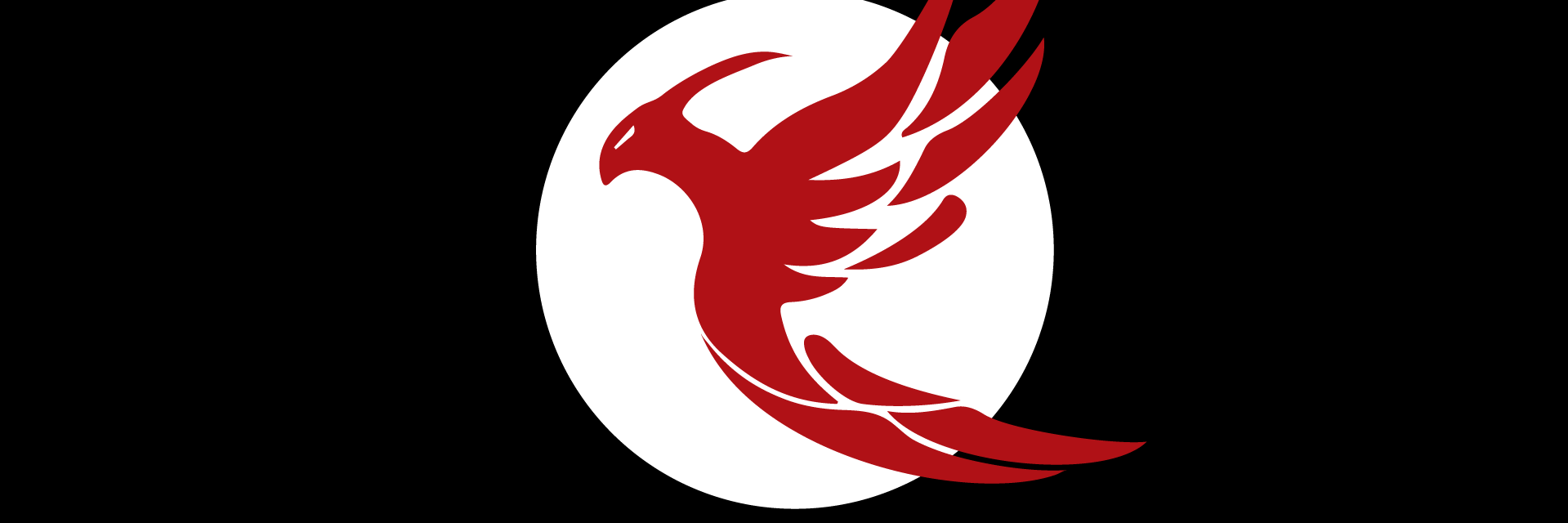 FenixHero's profile banner image