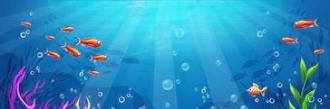Lizbeth banner