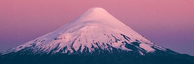 silvitoloza's profile banner image