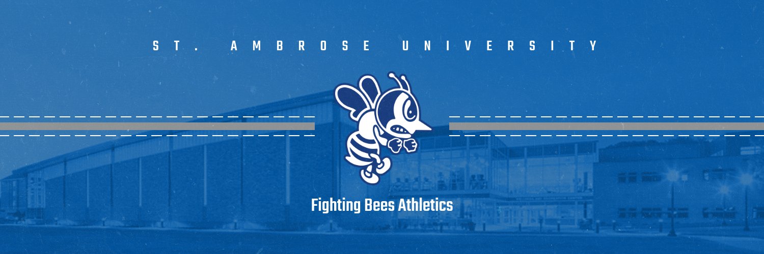 Fighting Bees Athletics banner