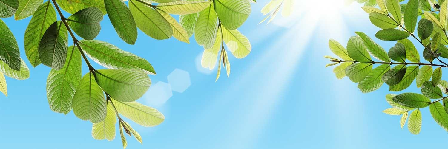 The Meridian Center banner