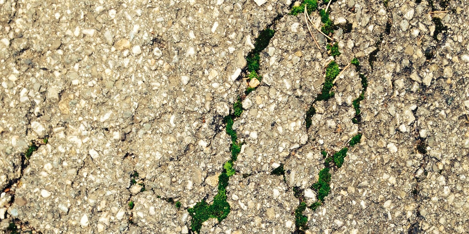 Deborah Sohlbank banner