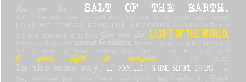 Salt&Light banner