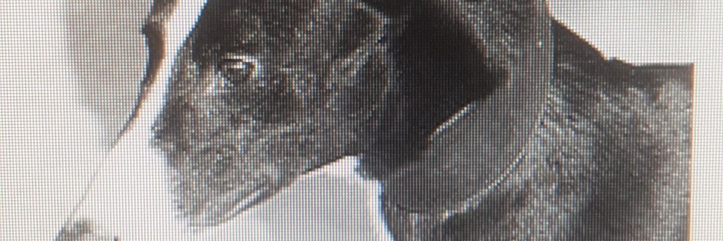 EndamcL's profile banner image