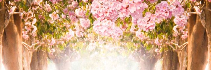 Juliia787's profile banner image