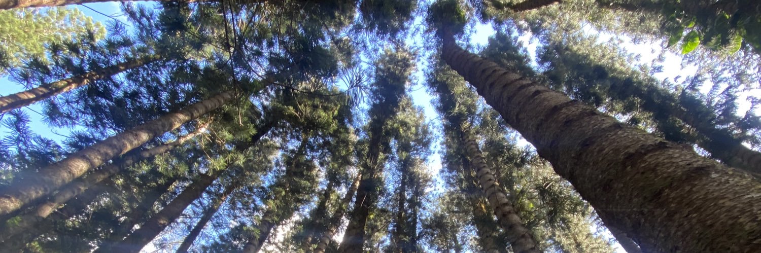 𝖘𝖍𝖆𝖕𝖊𝖘𝖍𝖎𝖋𝖙𝖊𝖗 banner