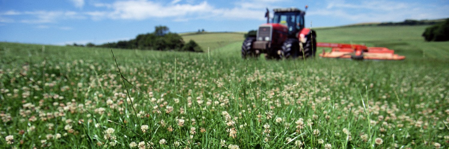 westernseeds's profile banner image