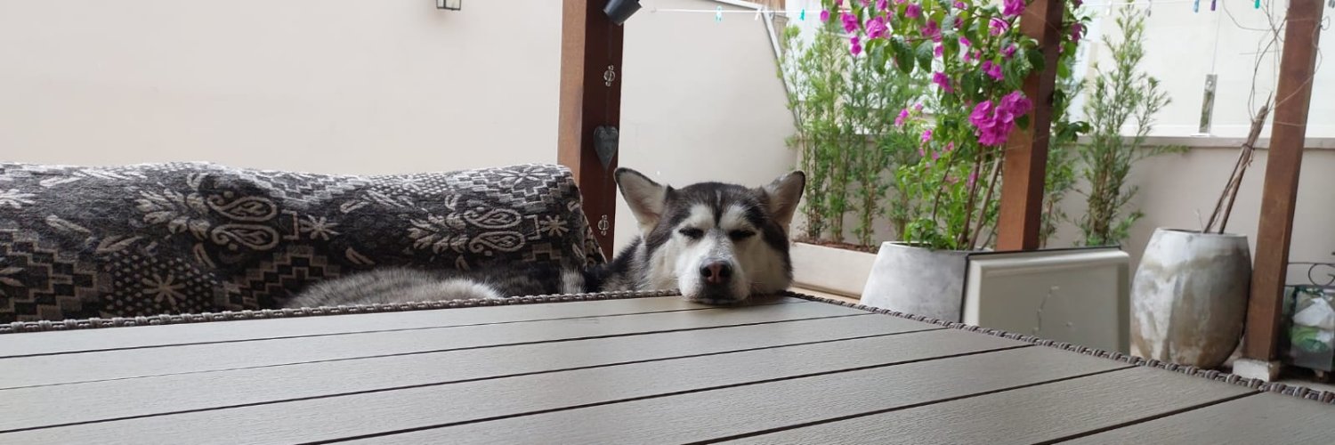 Rodrigo Ciulla banner