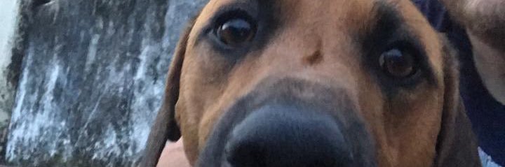 r_azzi's profile banner image