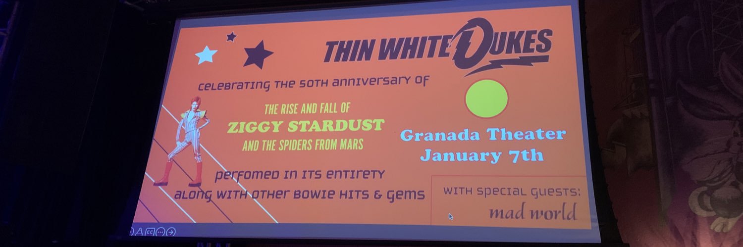 BearInDFW's profile banner image