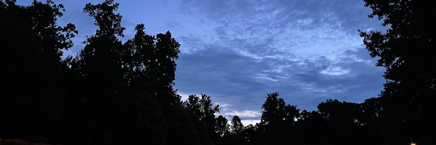LeighAnnWeber's profile banner image